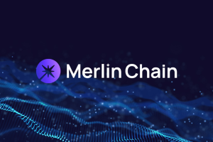 Merlin Chain Sadece Altı Ayda 1,2 Milyar Dolar TVL'yi Aşarak Bitcoin'in En Büyük Katman-2'si Olarak Ortaya çıktı