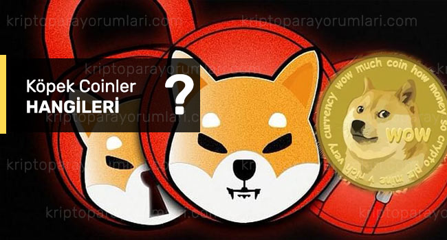 köpek coinler