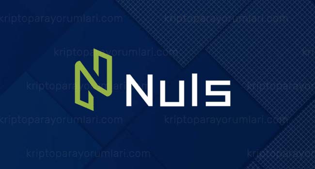 NULS (NULS) Coin Nedir? NULS Coin Yorum, Fiyat Tahminleri Ve NULS Coin Geleceği 2023-2026